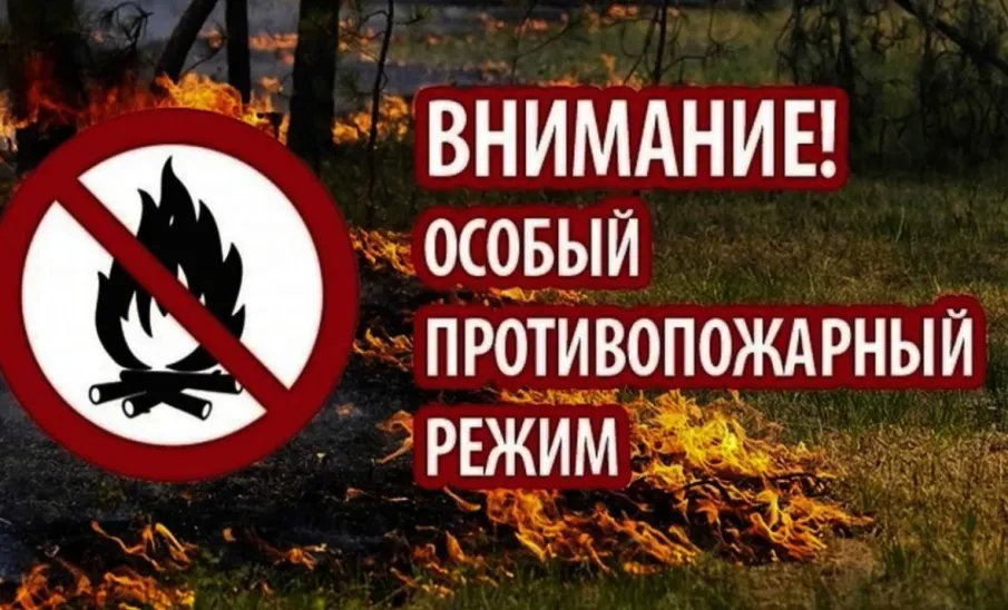 На территории области установлен особый противопожарный режим